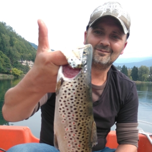 Profilbild von Alexander Leitner