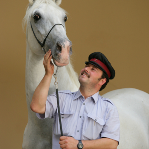 Profilbild von Alexander Welle