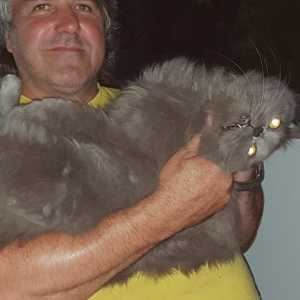 Profilbild von Alfred Steinmaurer