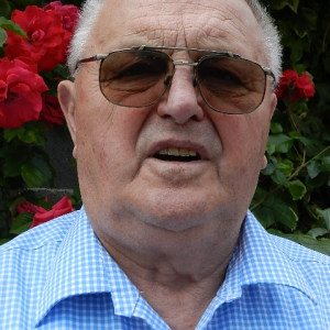 Profilbild von Alois Zechmeister