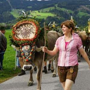 Profilbild von Andrea Taxacher