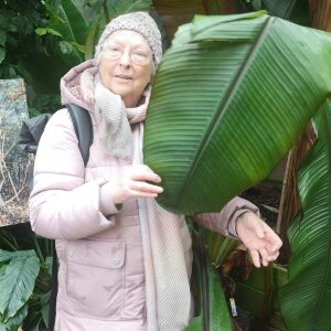 Profilbild von Christa Auer