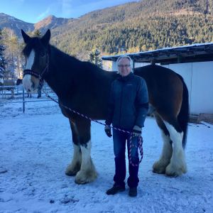 Profilbild von Christian Greger