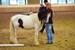 Profilbild von Claudia Kern