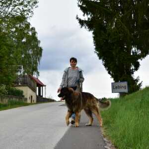 Profilbild von Dietlinde Schicker