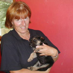 Profilbild von Elfriede Sattlecker