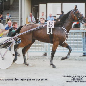 Profilbild von Erich Schantl