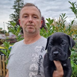 Profilbild von Filka Pavle