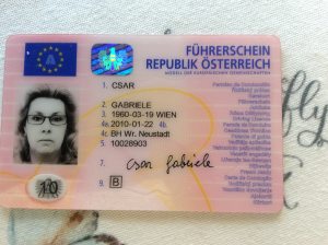 Profilbild von Gabriele Csar