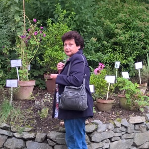 Profilbild von Gertrude Klinger