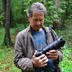 Profilbild von Günter Stern