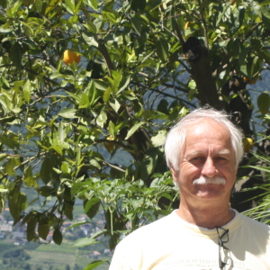 Profilbild von Hans Peter Rossi