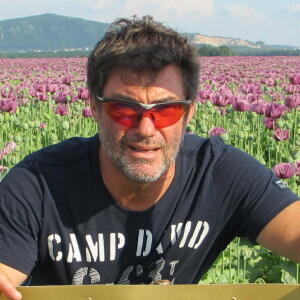 Profilbild von Hans Brauneis