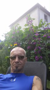 Profilbild von Hans Friedl
