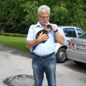 Profilbild von Herbert Sailer