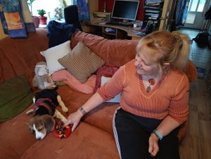 Profilbild von Hermine Legerer