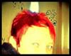 Profilbild von Jessica Brauer