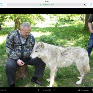 Profilbild von Kurt Ramskogler