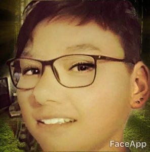 Profilbild von Marion Seitinger