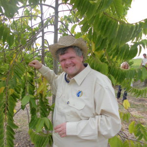 Profilbild von Markus Pöllendorfer