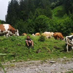 Profilbild von Martin Moll