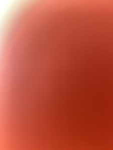 Profilbild von Meltem Cambaz