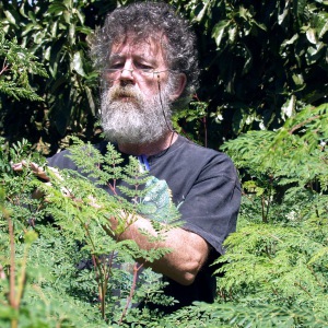 Profilbild von Nikolaus Foidl