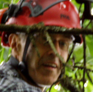 Profilbild von Roland Gradischnig