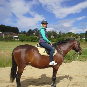 Profilbild von Silvia Horvath