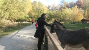 Profilbild von Steffi Spannbauer