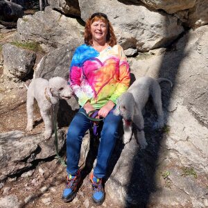 Profilbild von Susanne Plachy