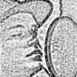 Profilbild von Thomas Nötzel