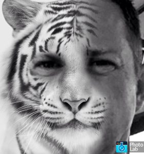 Profilbild von Thomas Prammer