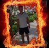 Profilbild von Thomas Seifried