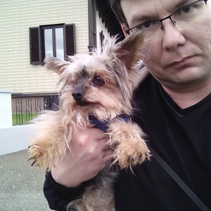 Profilbild von Ulfried Gruber