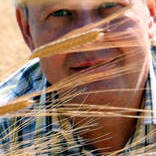 Profilbild von Walter Zwiletitsch