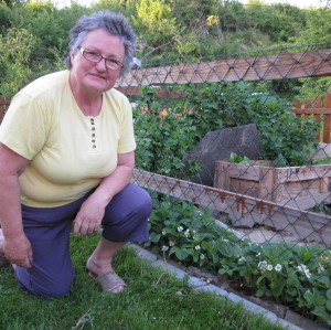Profilbild von Waltraud Kaindlbinder