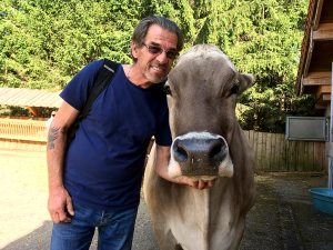 Profilbild von Werner Achleitner