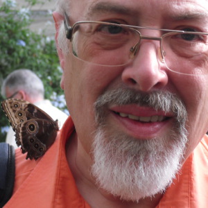 Profilbild von Werner Reiter
