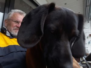 Profilbild von Wolfgang Roßkopf